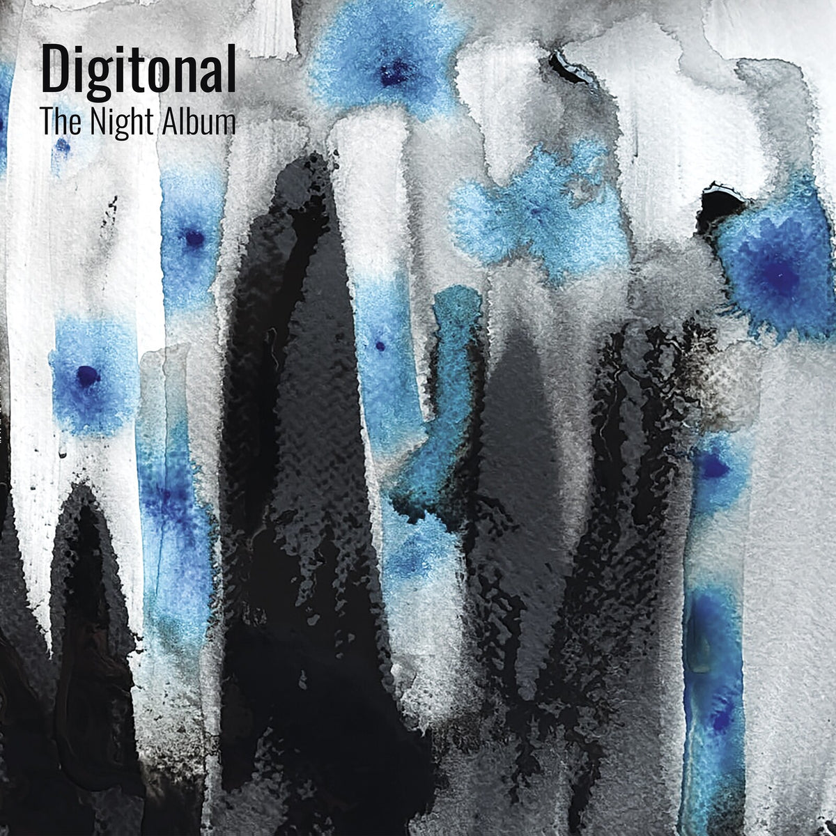 Digitonal - The Night Album (Vinyl LP) PRE-ORDER