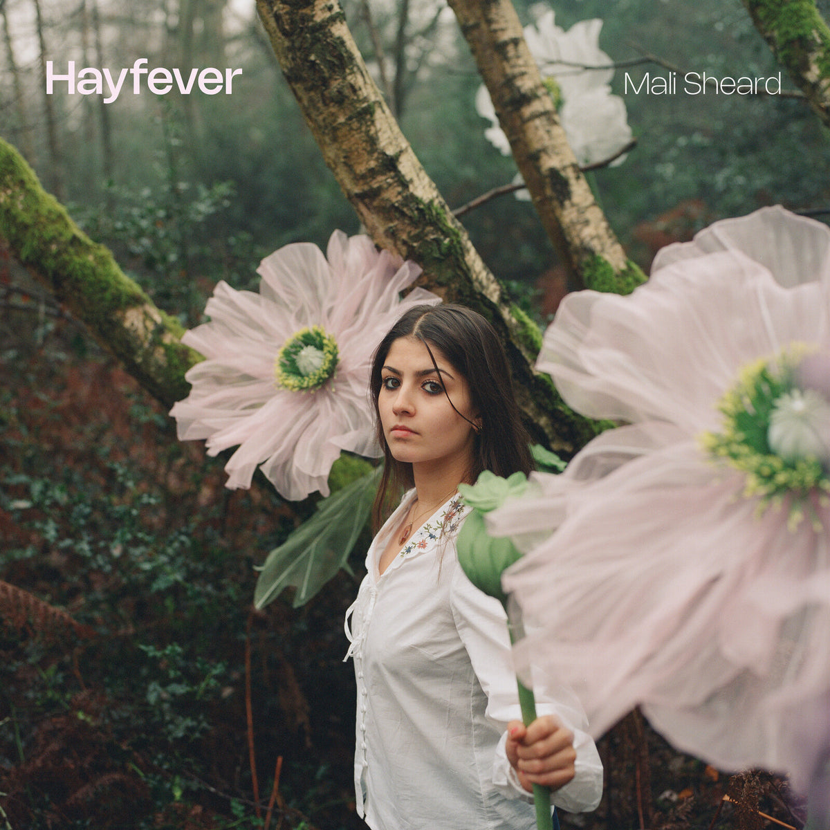 Mali Sheard - Hayfever (Vinyl LP) PRE-ORDER