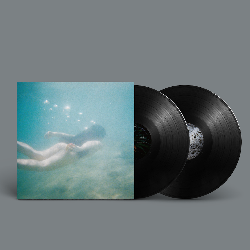 Ichiko Aoba - Windswept Adan (Vinyl 2LP) PRE-ORDER