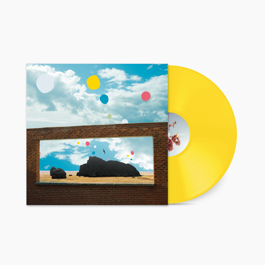 Admiral Fallow - First Of The Birds (Vinyl LP) PRE-ORDER