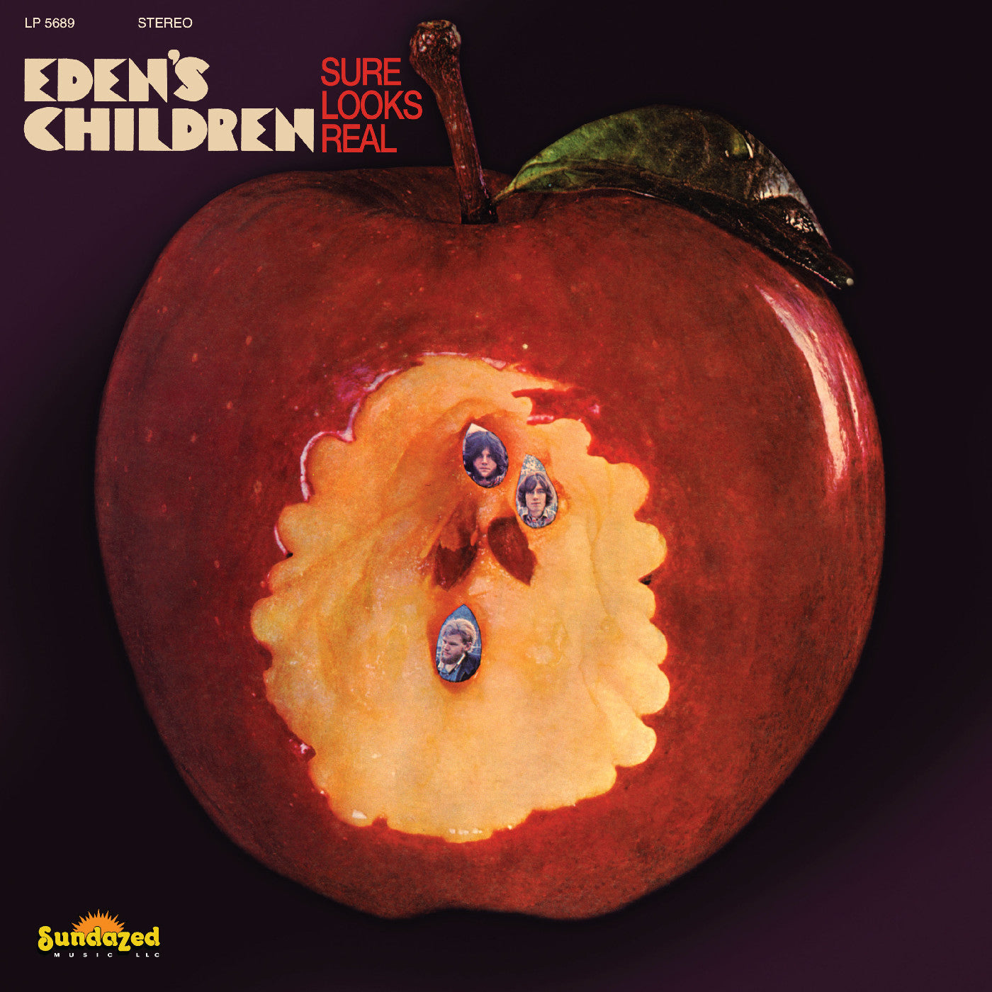 Eden'S Children - Sure Looks Real (Maroon Vinyl) (Vinyl LP) PRE-ORDER