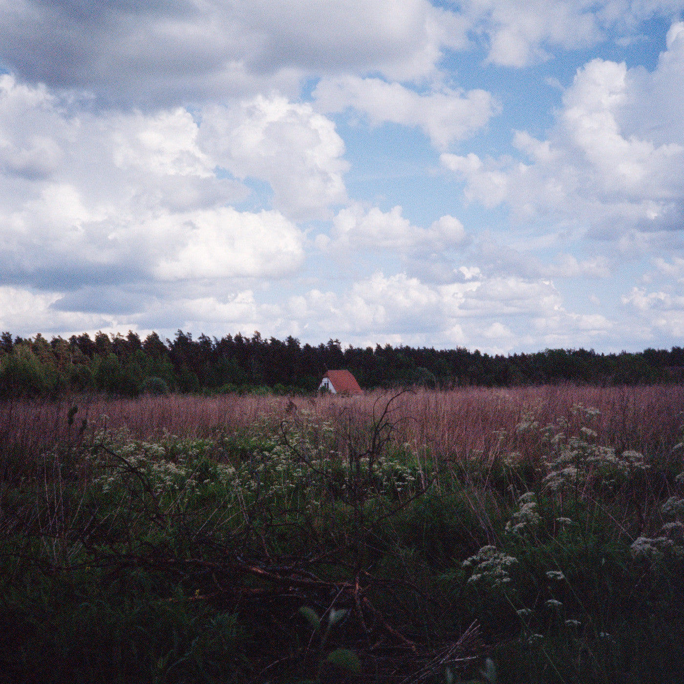 Tiner, Kris & Cathlene Pineda - Sung (Vinyl LP) PRE-ORDER