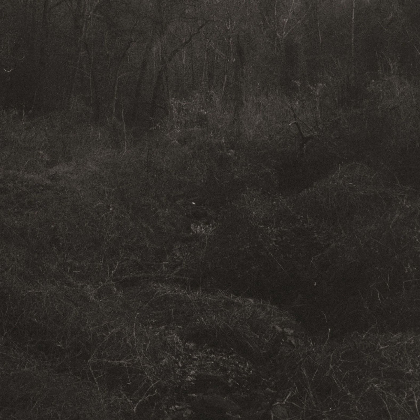 Mok, Lesley - Transient (Vinyl LP) PRE-ORDER