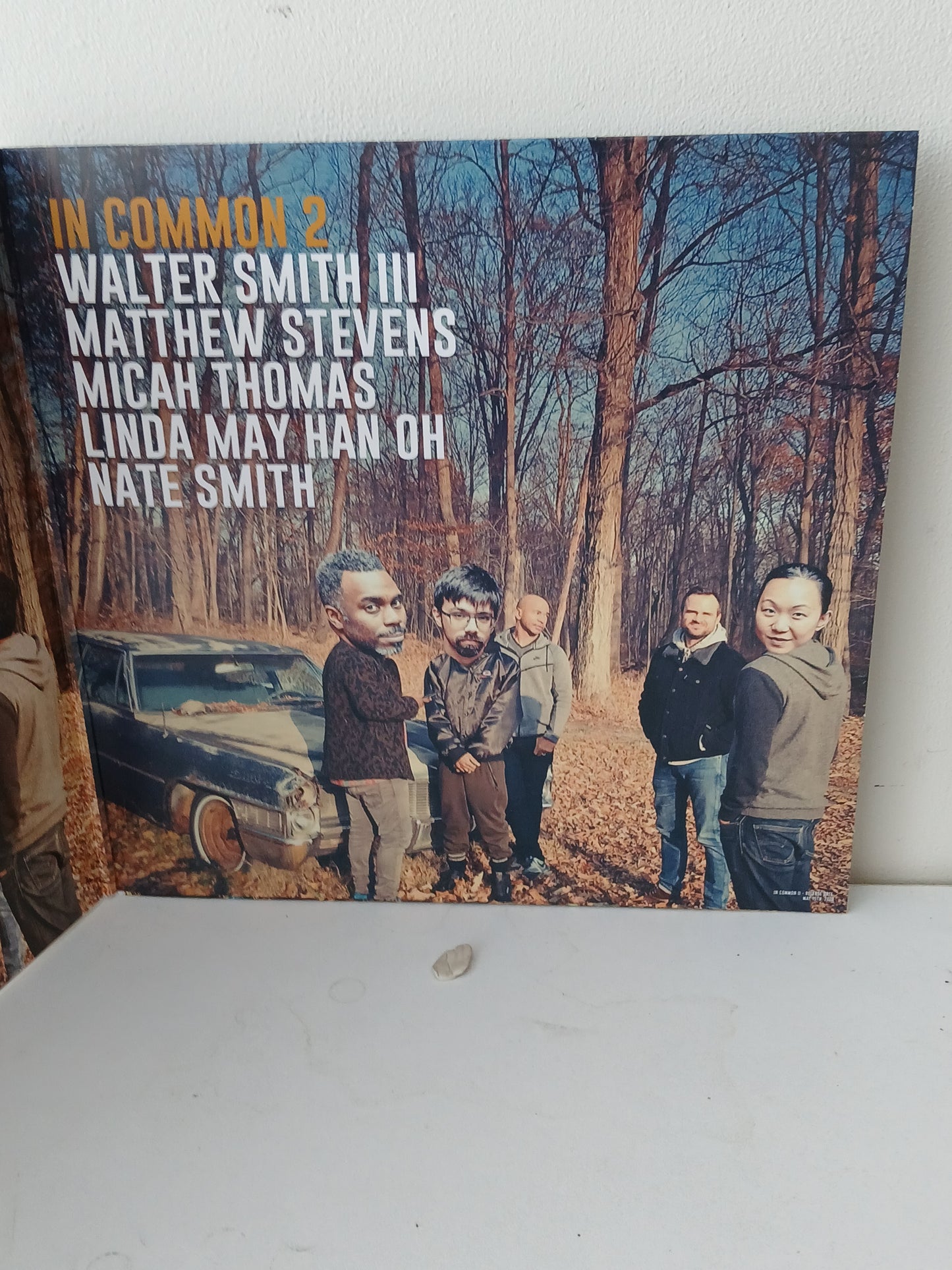 Walter Smith III, Matthew Stevens – In Common III (Used 2LP)