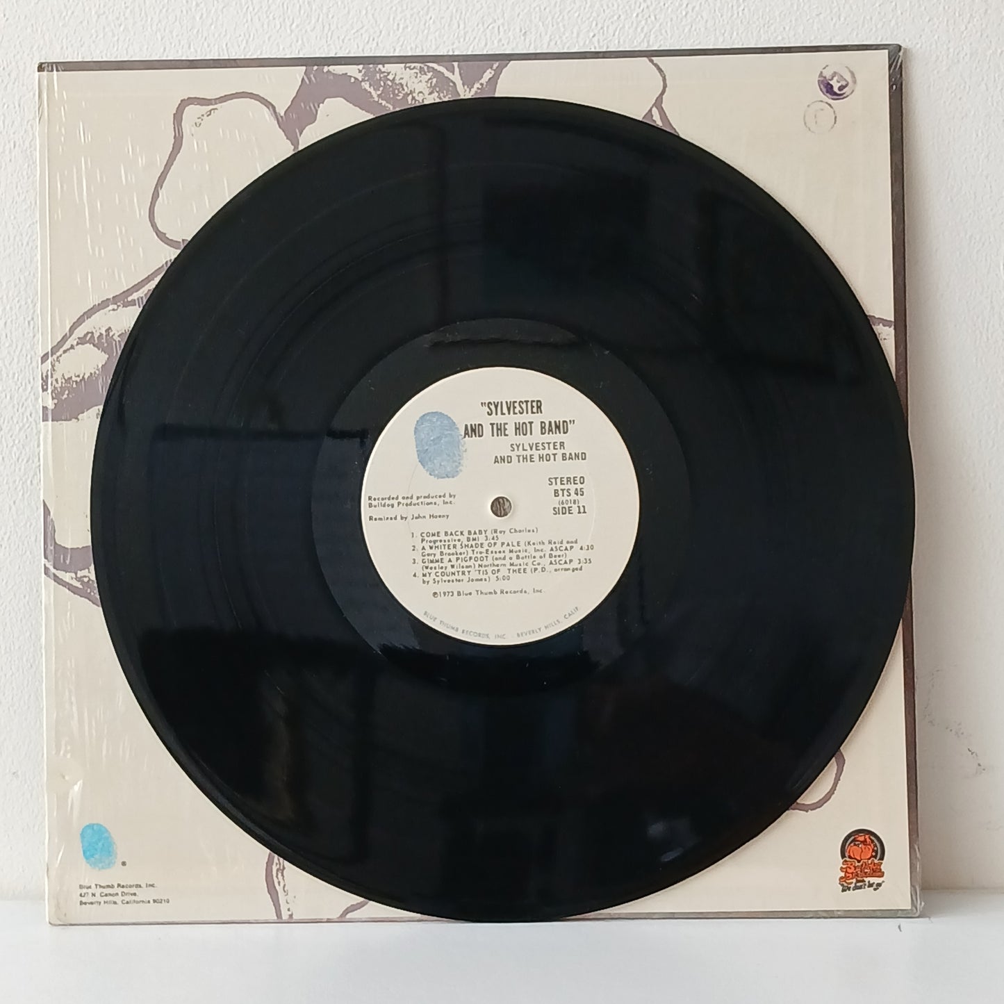 Sylvester And The Hot Band – Sylvester And The Hot Band (Used LP)