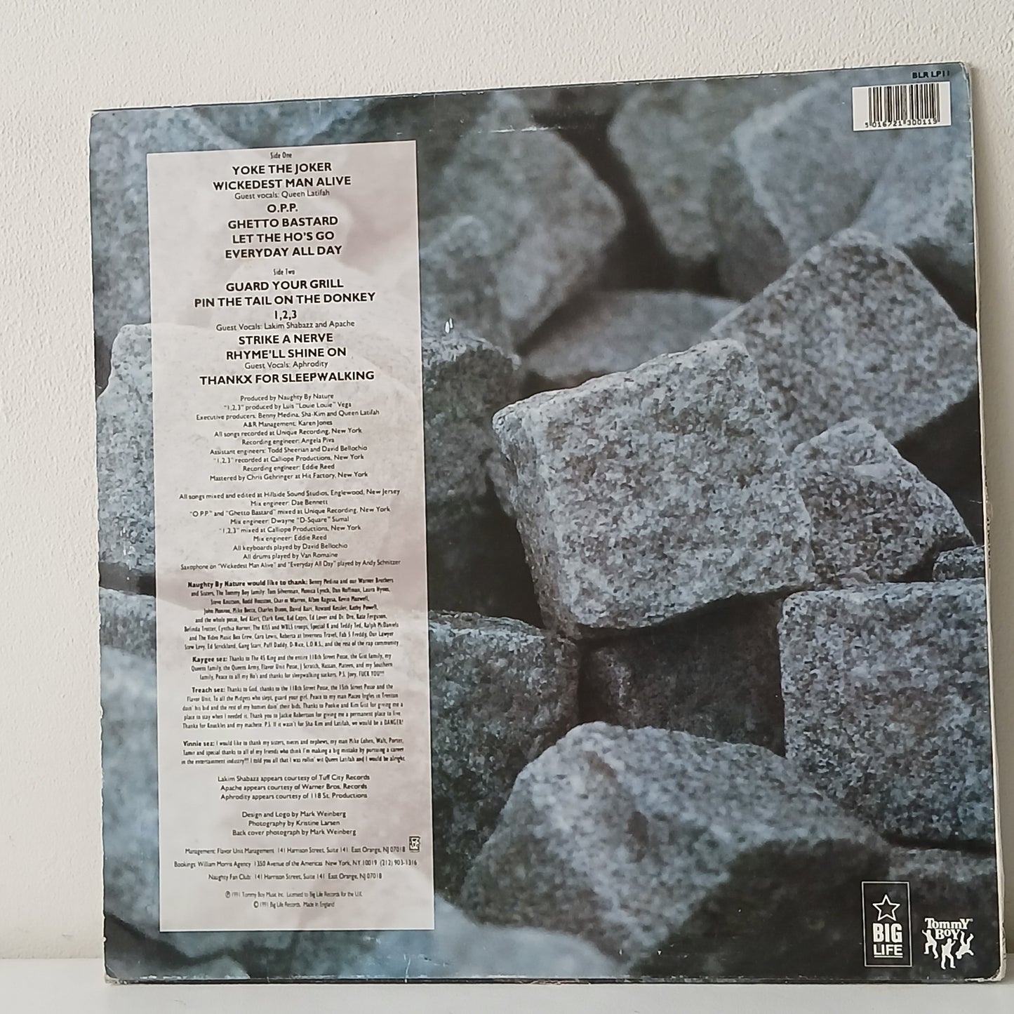 Naughty By Nature – Naughty By Nature (Used LP)