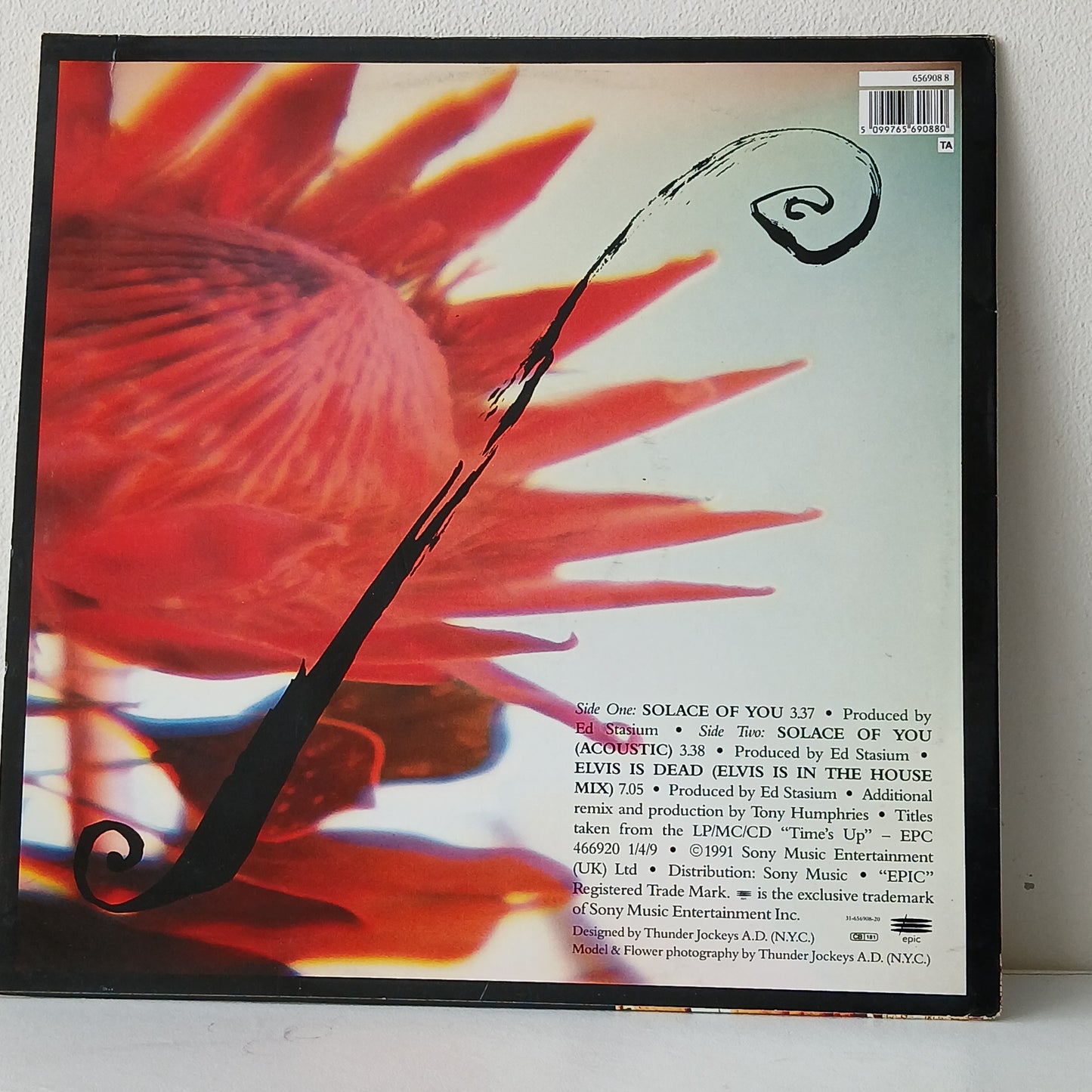 Living Colour – Solace Of You (Used 12")