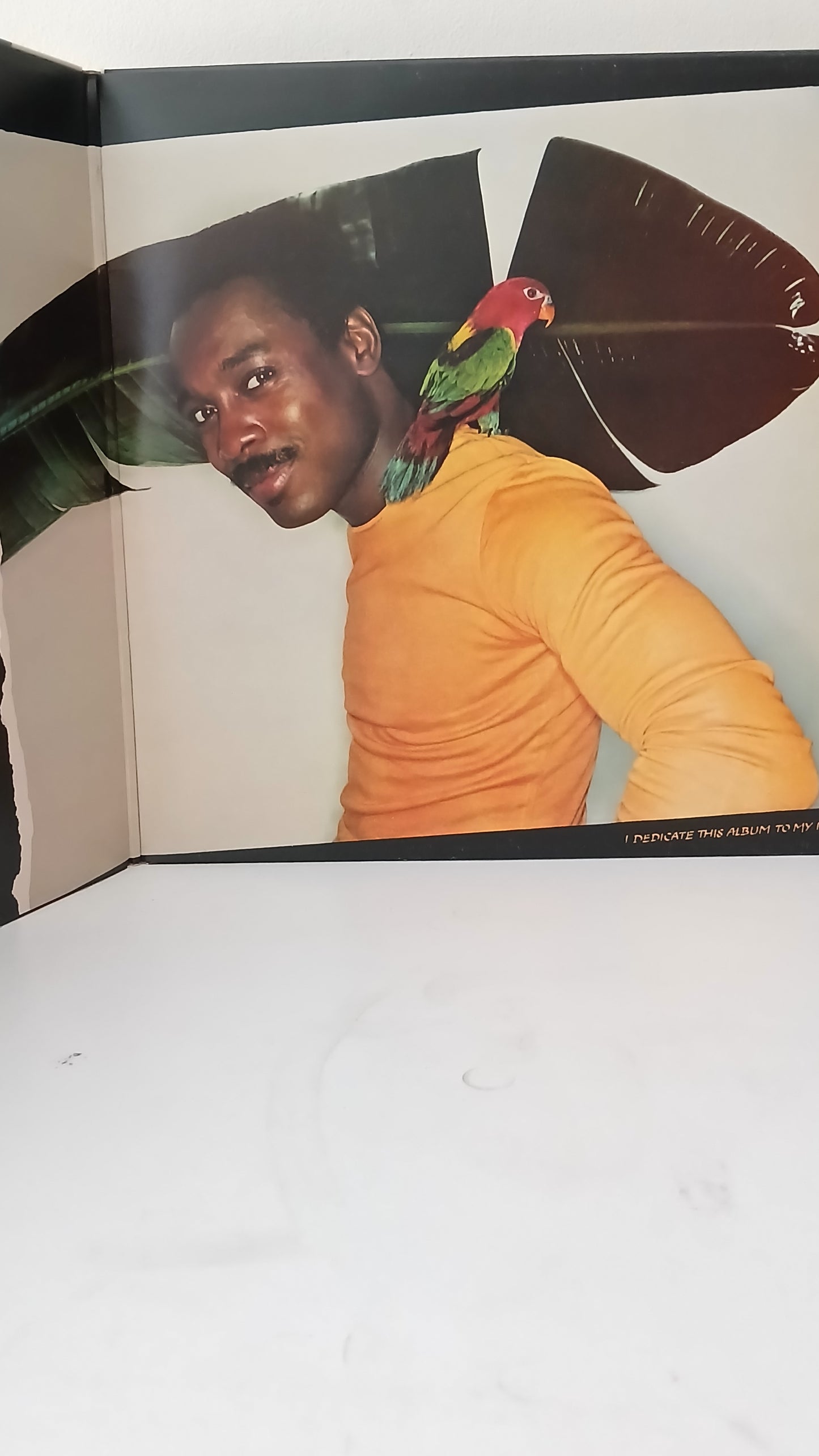 George Benson – In Flight (Used LP)