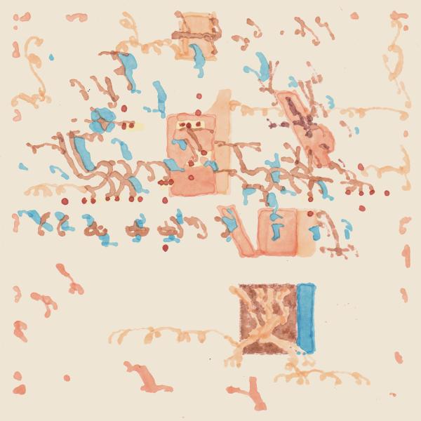 Shakali - Toinen Luonto (Vinyl LP) PRE-ORDER