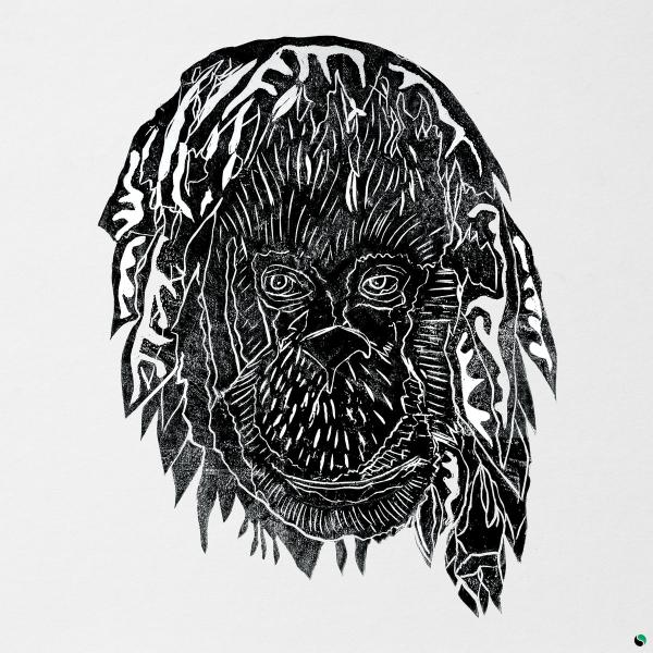 Alpha Steppa - Raise The Ark 2LP (Vinyl LP) PRE-ORDER