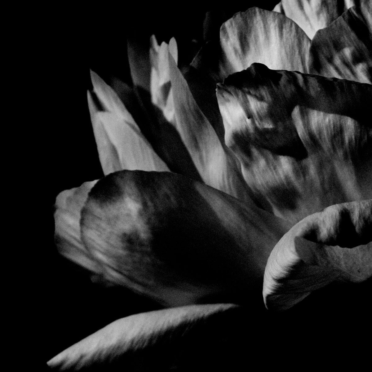 Louise Roam - Là Où Passe La Nuit 2LP (Vinyl LP) PRE-ORDER