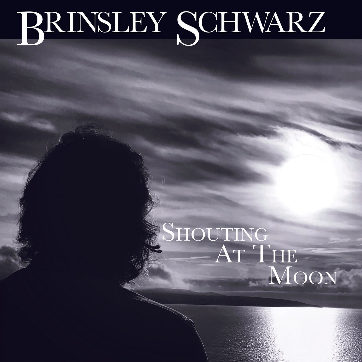 Brinsley Schwarz - Shouting At The Moon (Vinyl LP) PRE-ORDER