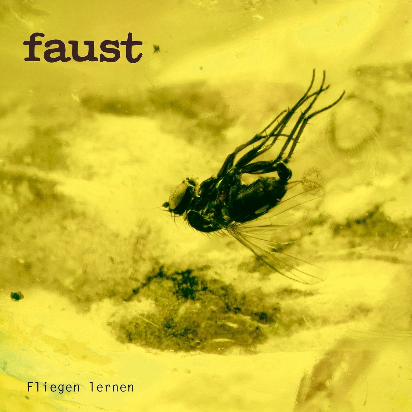 Faust - Fliegen Lernen (Curated By Gunther Wüsthoff) (Black Vinyl LP) PRE-ORDER