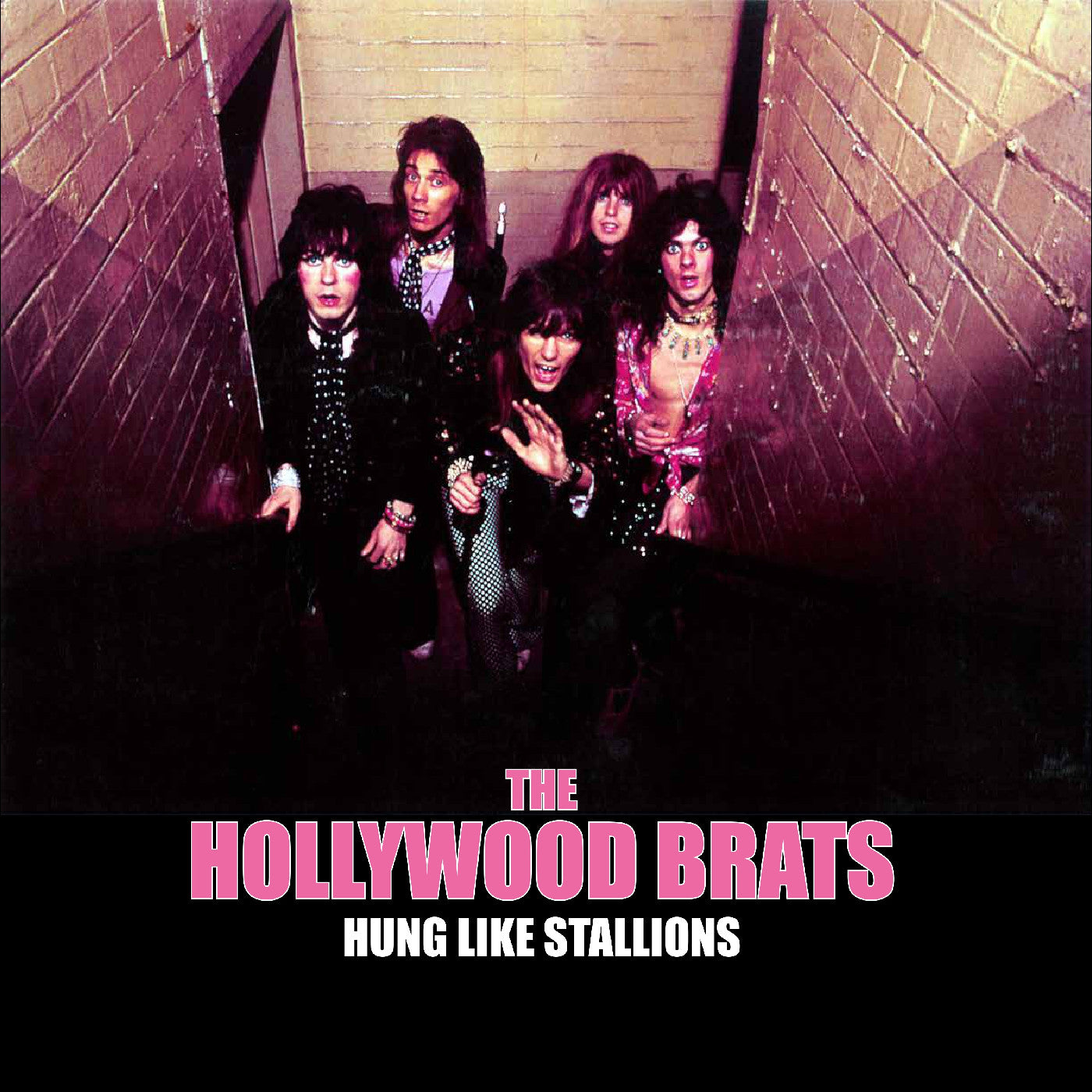 Hollywood Brats, The - Hung Like Stallions (Vinyl LP) PRE-ORDER