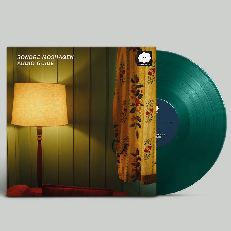 Sondre Moshagen - Audio Guide (Vinyl LP) PRE-ORDER