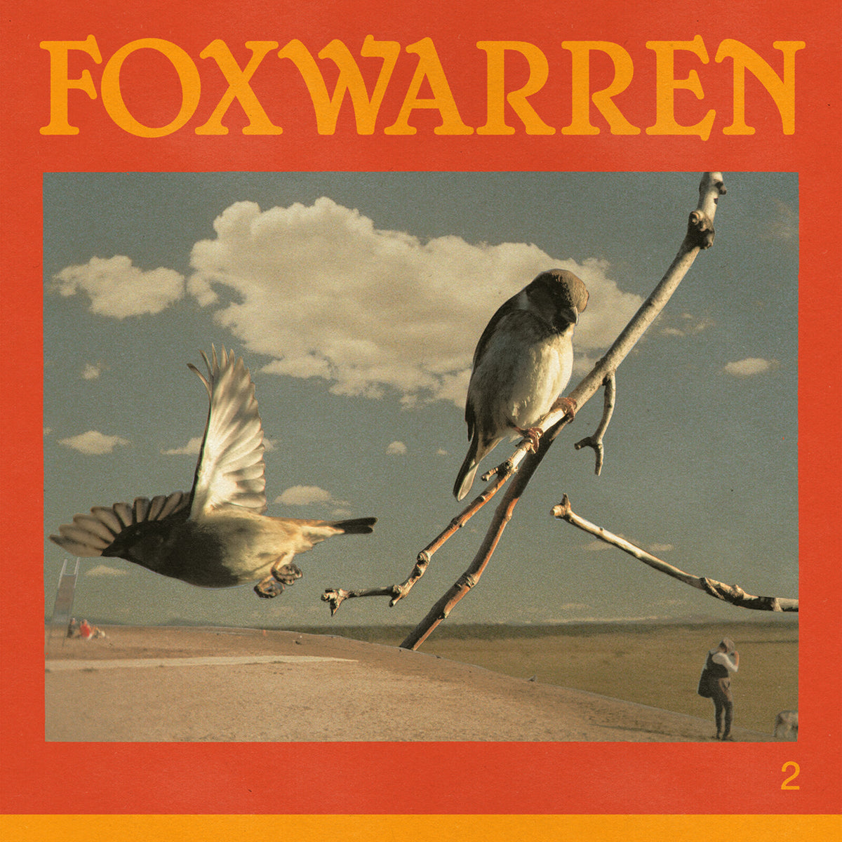 Foxwarren - 2 (Vinyl LP) PRE-ORDER
