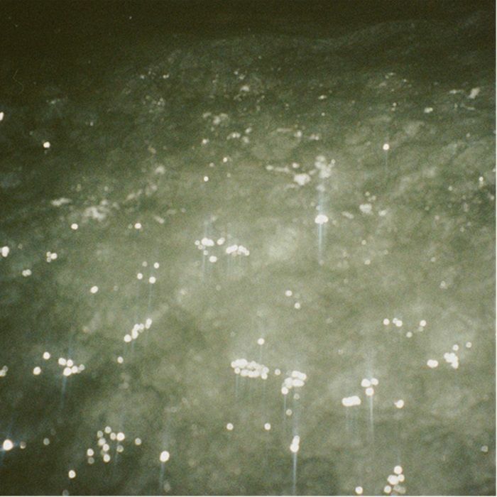 Ben Kaczor - Sirene (Vinyl LP) PRE-ORDER