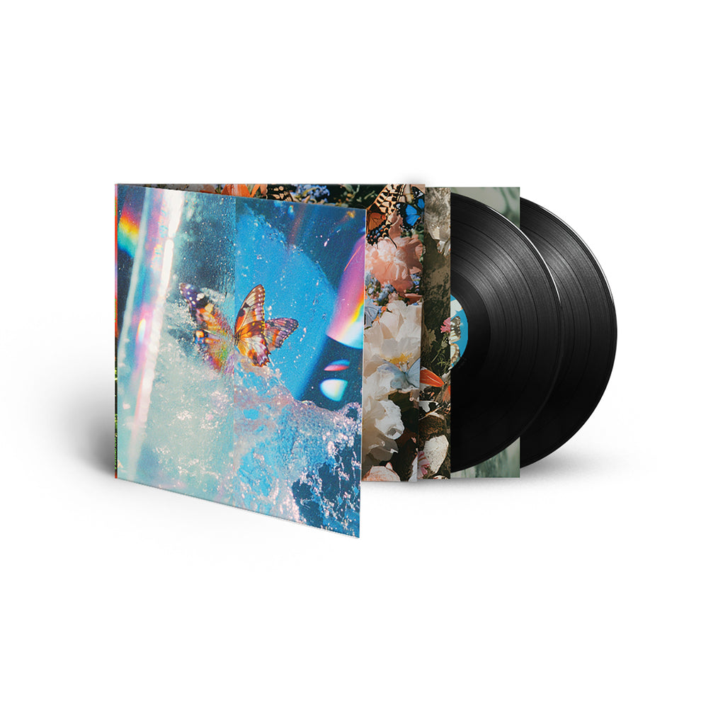 Daphni - Butterfly BLACK 2LP (Vinyl LP) PRE-ORDER