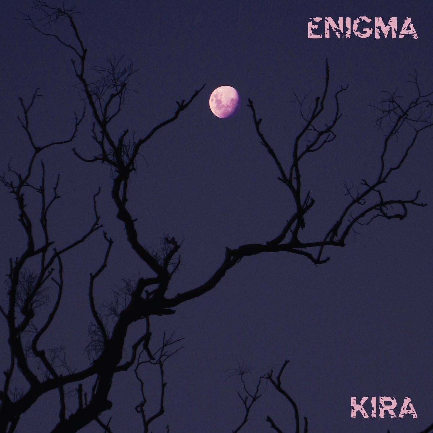Kira Roessler - Enigma ORCHID VINYL (Vinyl LP) PRE-ORDER