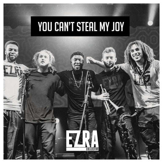 Ezra Collective – You Can't Steal My Joy (Vinyl 2LP)