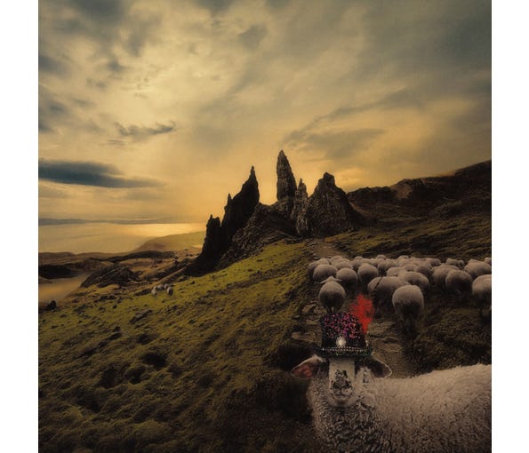 Franck Carducci - Sheeple - Vinyl Edition (Vinyl LP) PRE-ORDER