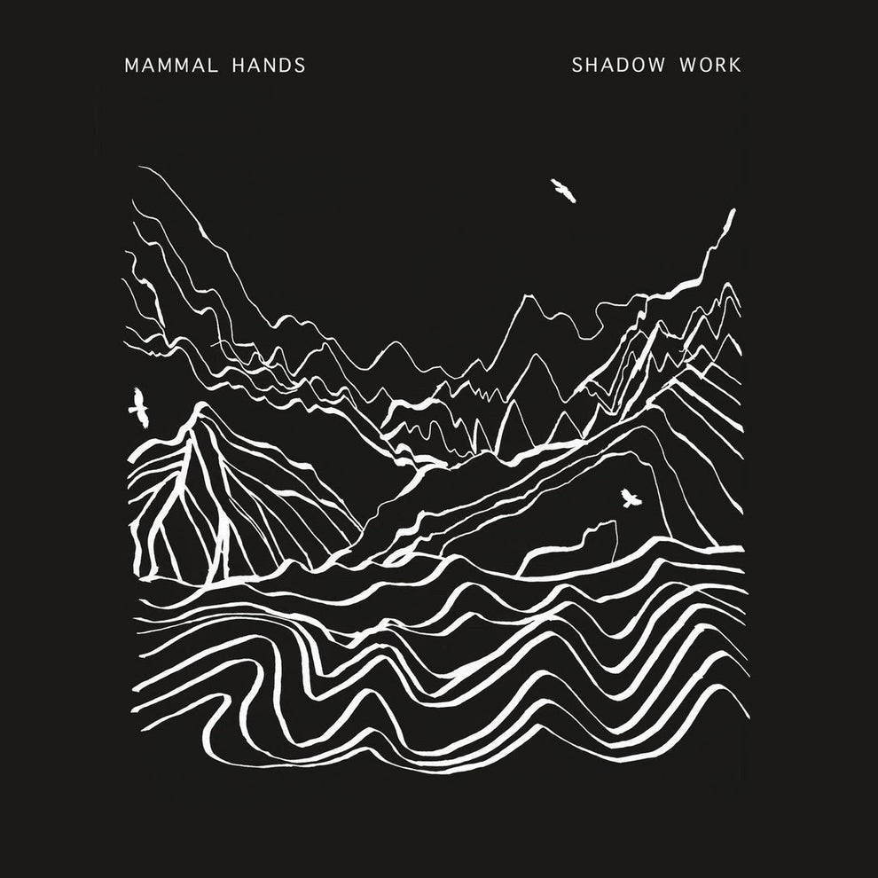 Mammal Hands - Shadow Work (Repress) 2LP (Vinyl LP) PRE-ORDER