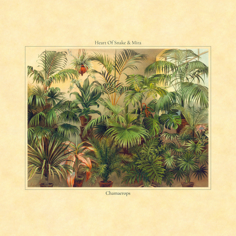 Heart Of Snake & Mira - Chamaerops (Vinyl LP) PRE-ORDER