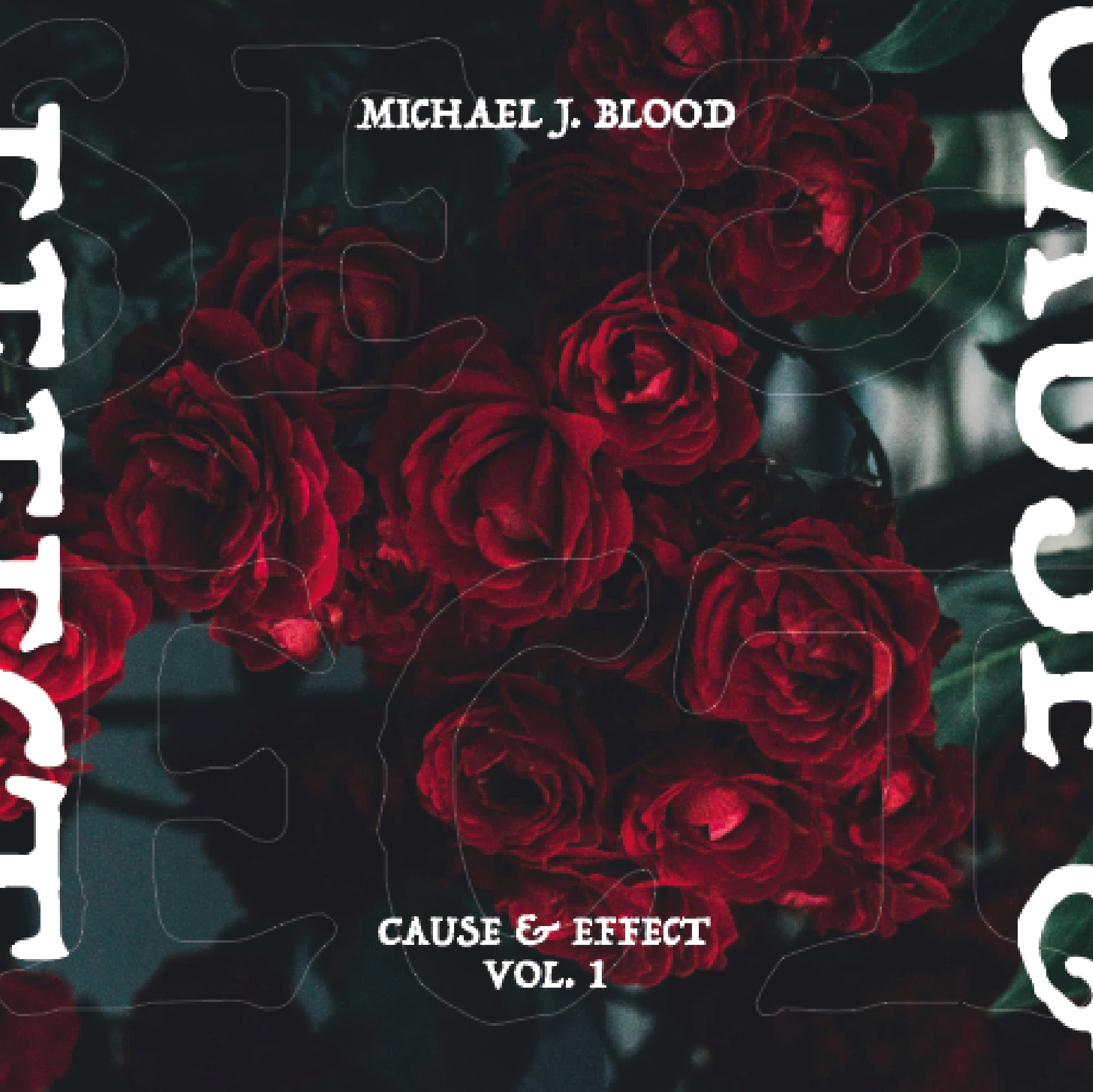 Michael J. Blood - Cause & Effect Vol. 1 (Vinyl 2LP) PRE-ORDER