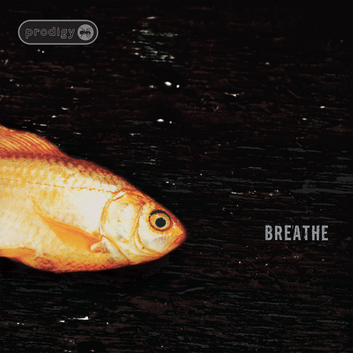 Prodigy - Breathe (30th Anniversary) (Vinyl 12") PRE-ORDER