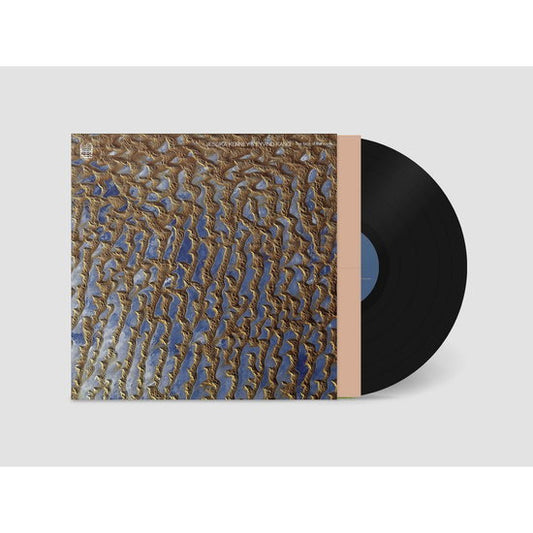 Jessika Kenney & Eyvind Kang - The Face Of The Earth BLACK VINYL (Vinyl LP) PRE-ORDER
