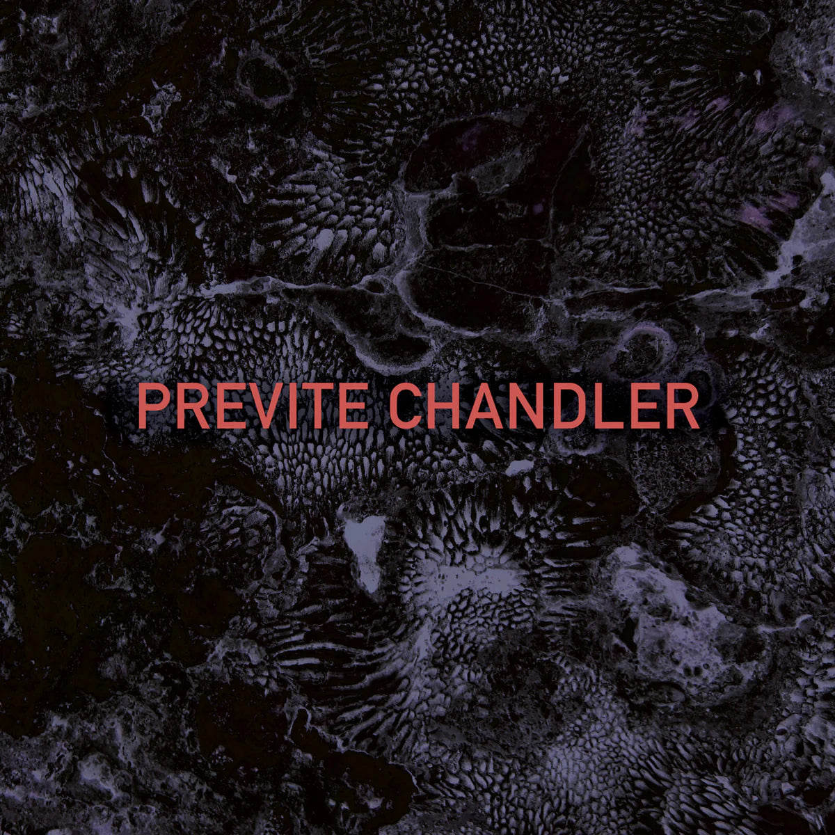 Previte Chandler - Previte Chandler (Vinyl LP) PRE-ORDER