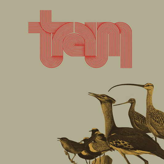 Traum - Traum RED LP (Vinyl LP) PRE-ORDER