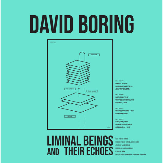 David Boring - Liminal Beings And Their Echoes GREY ECO-MIX (Vinyl LP) PRE-ORDER