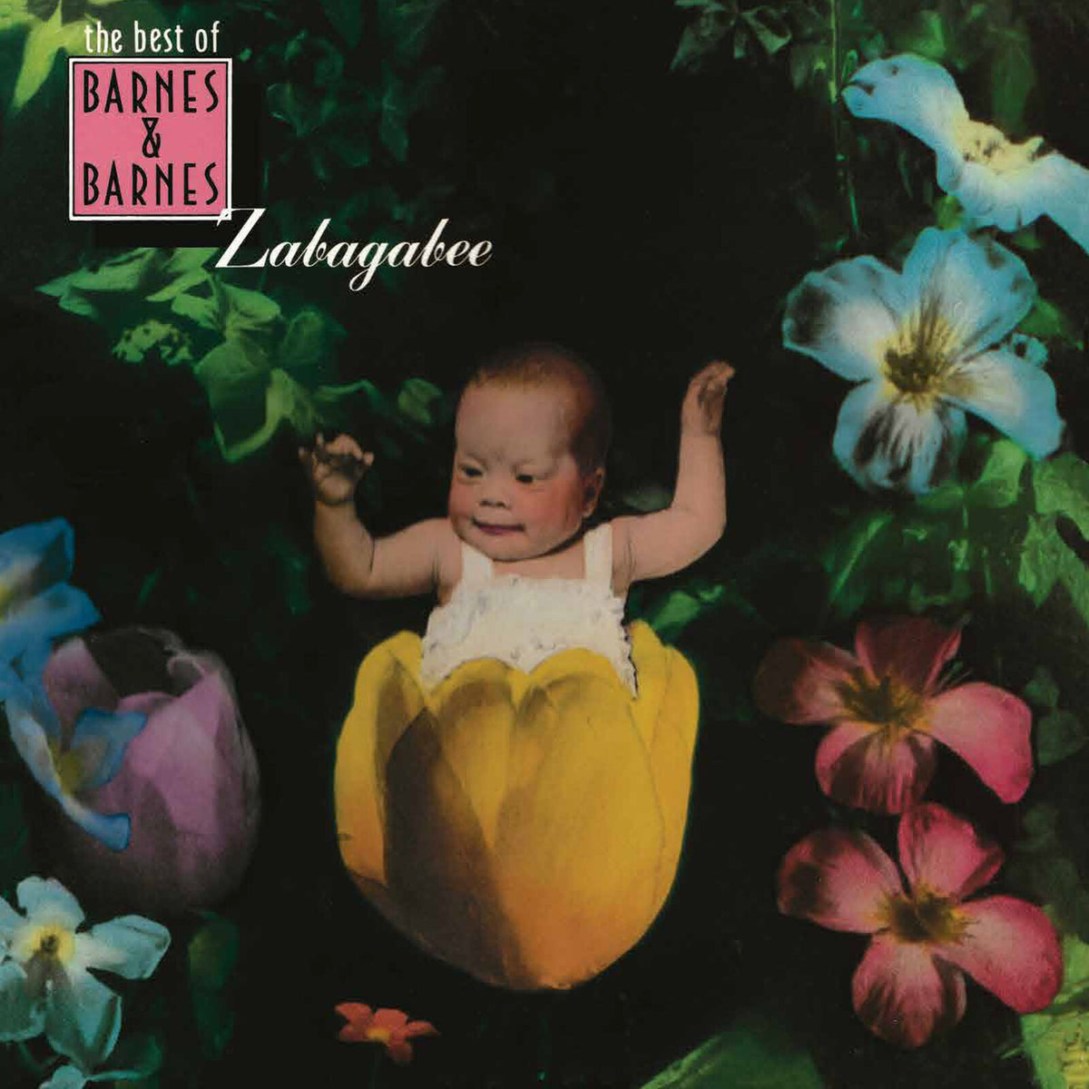 Barnes & Barnes - Zabagabee: The Best Of Barnes & Barnes  (Vinyl LP) PRE-ORDER