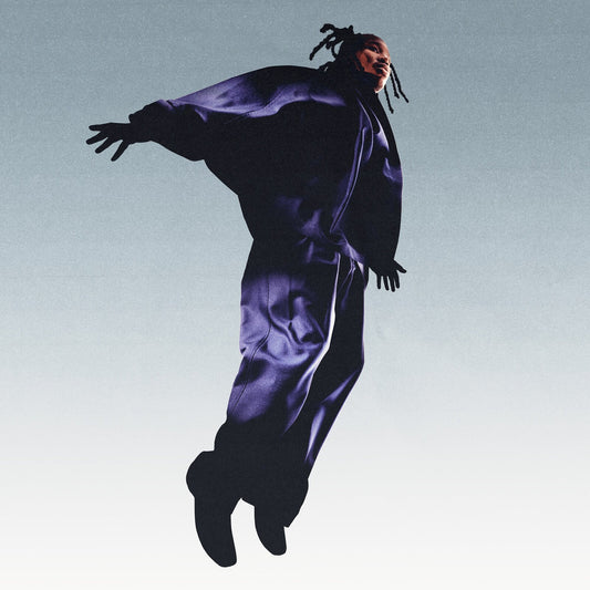 Mavi - The Pilot  (Vinyl LP) PRE-ORDER