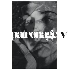 Various Artists - Patronage V  (Vinyl LP) PRE-ORDER