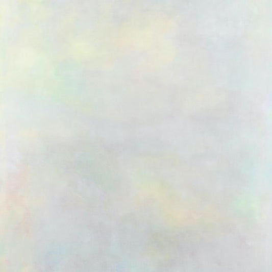 Variant - The Setting Sun 2LP (Vinyl LP) PRE-ORDER