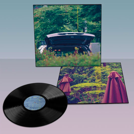 Eiko Ishibashi & Jim O'Rourke - Pareidolia (Vinyl LP) PRE-ORDER