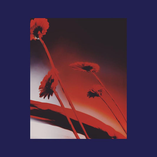 Various Artists - Nothing Ever Was: Compiled by DJ Sundae (Vinyl LP) PRE-ORDER