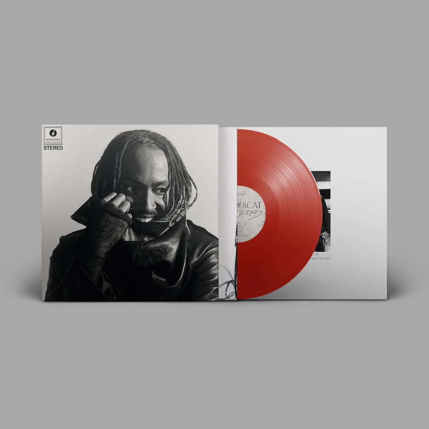 Thundercat - Distracted (Vinyl LP) PRE-ORDER