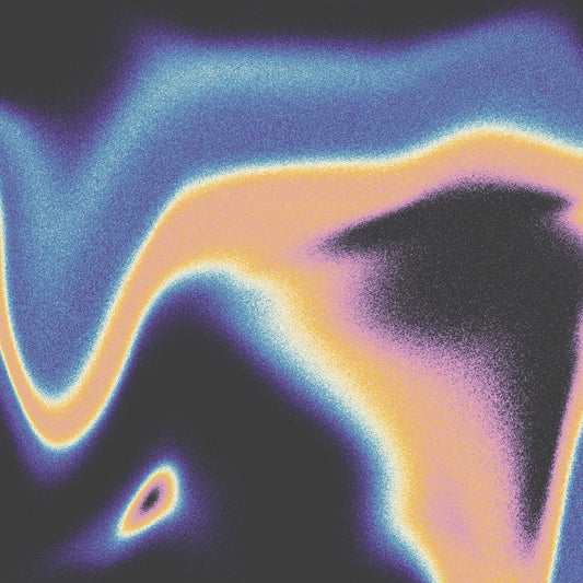 Lidell, Jamie & Luke Schneider - A Companion For The Spaces Between Dreams  (Vinyl LP) PRE-ORDER