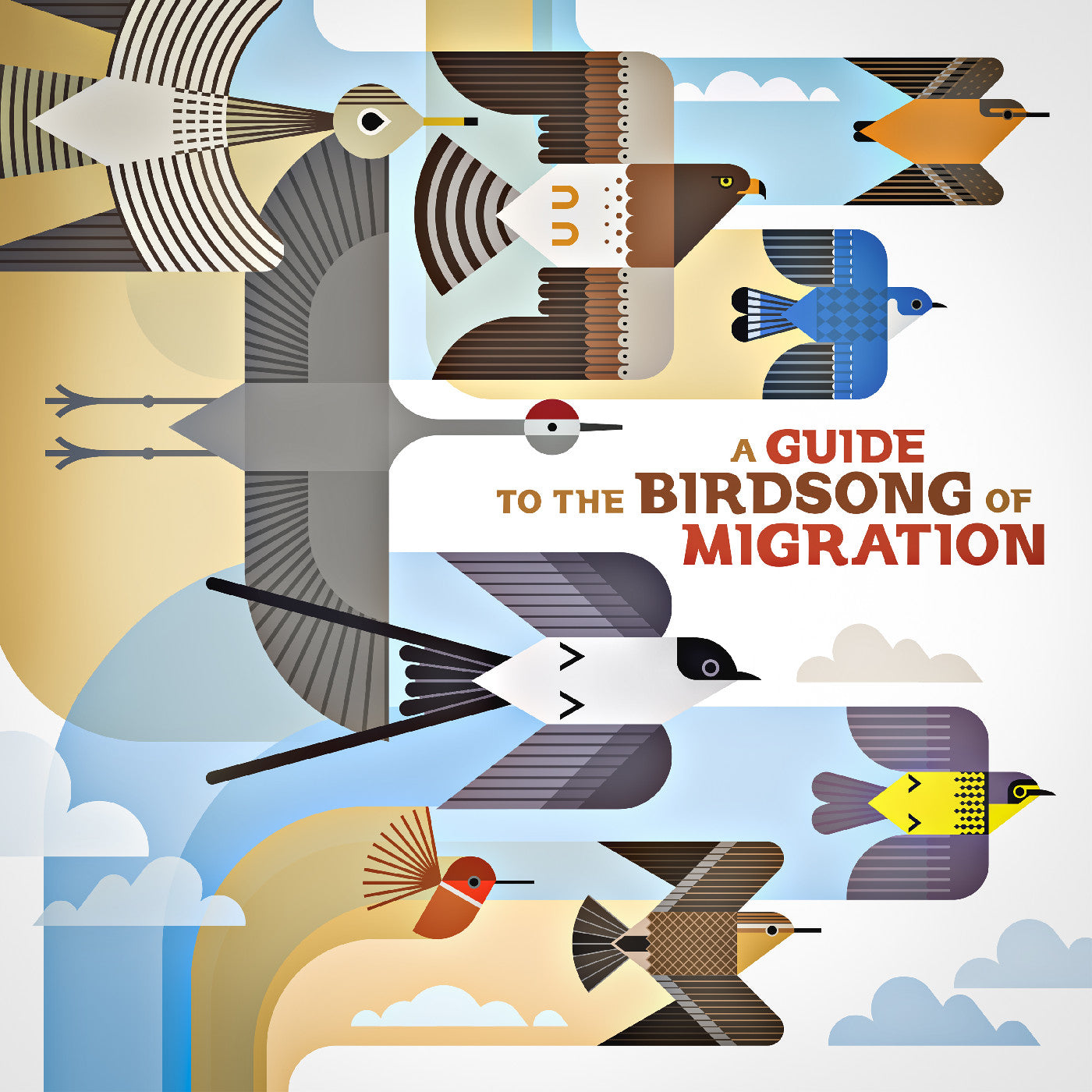Various Artists - A Guide To The Birdsong Of Migration  (Vinyl LP) PRE-ORDER