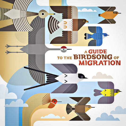 Various Artists - A Guide To The Birdsong Of Migration  (Vinyl LP) PRE-ORDER