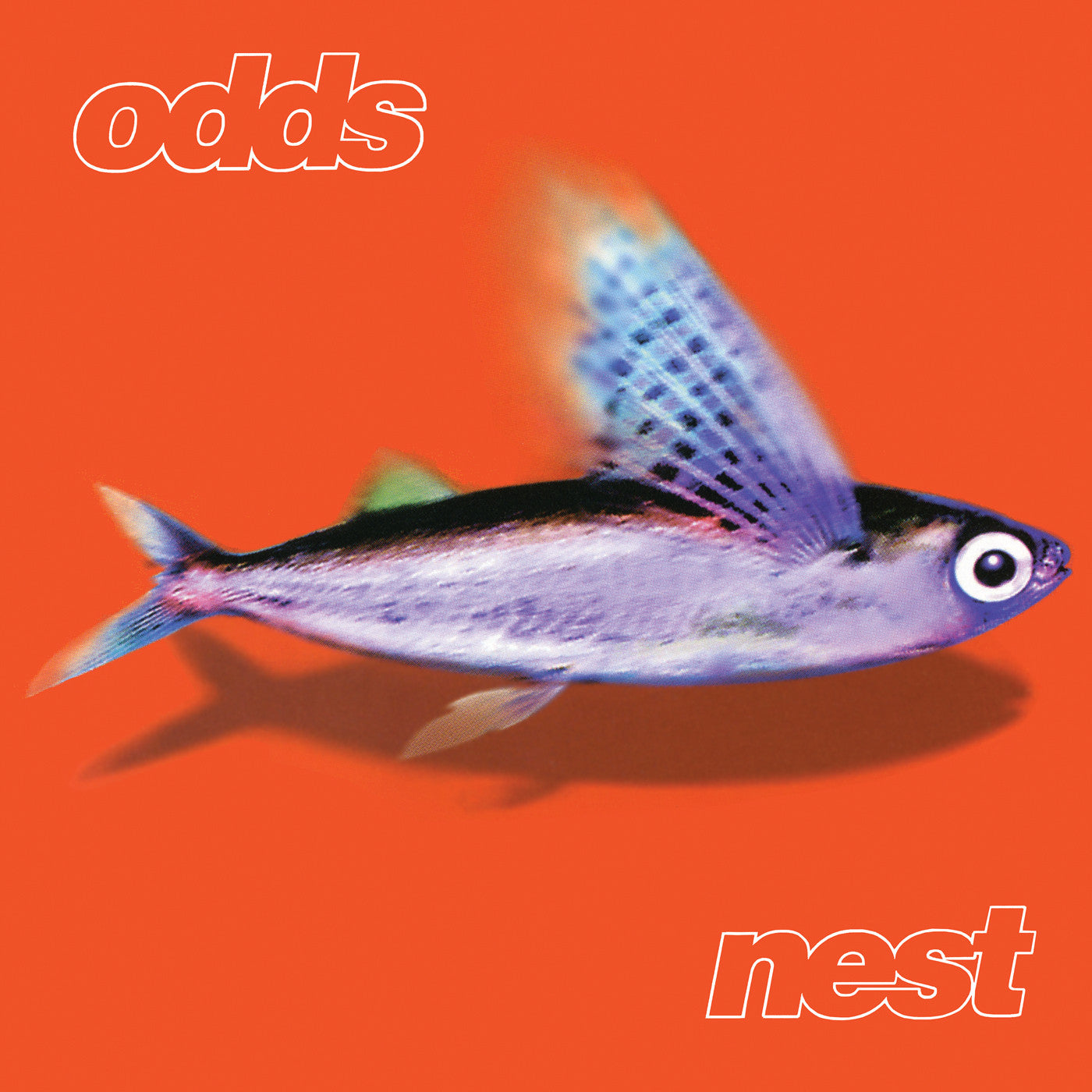 Odds - Nest  (Vinyl LP) PRE-ORDER