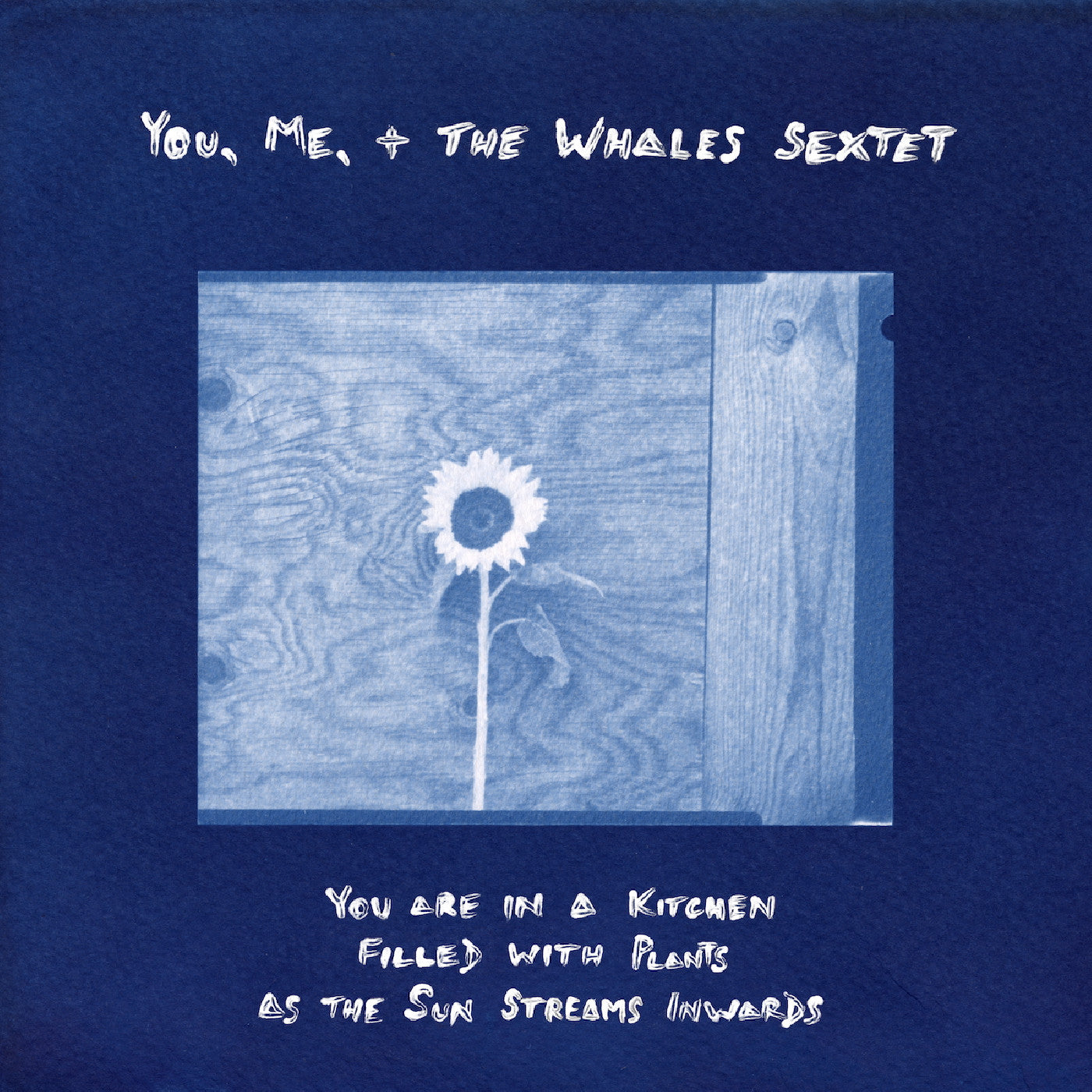 You, Me, + The Whales Sextet - You Are In A Kitchen Filled With Plants As The Sun Streams Inwards  (Vinyl LP) PRE-ORDER