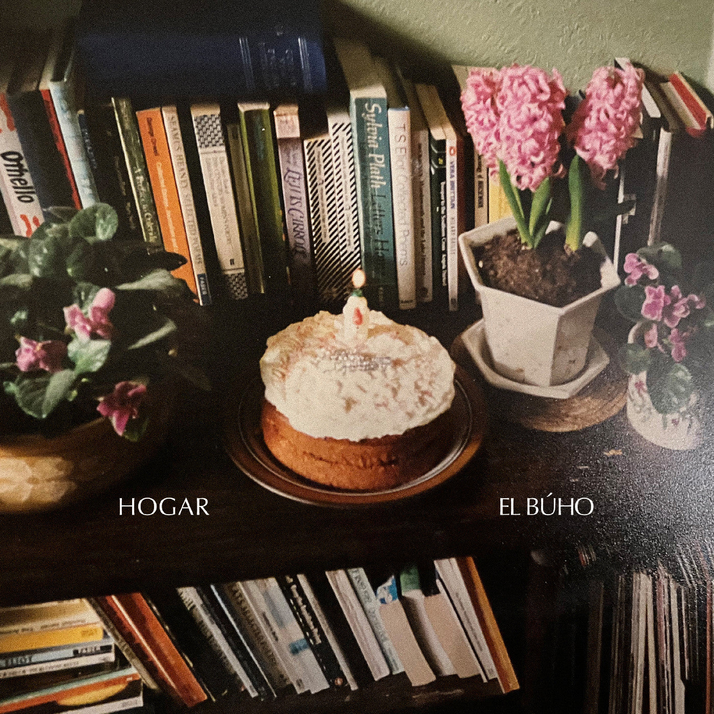 El Buho - Hogar  (Vinyl LP) PRE-ORDER