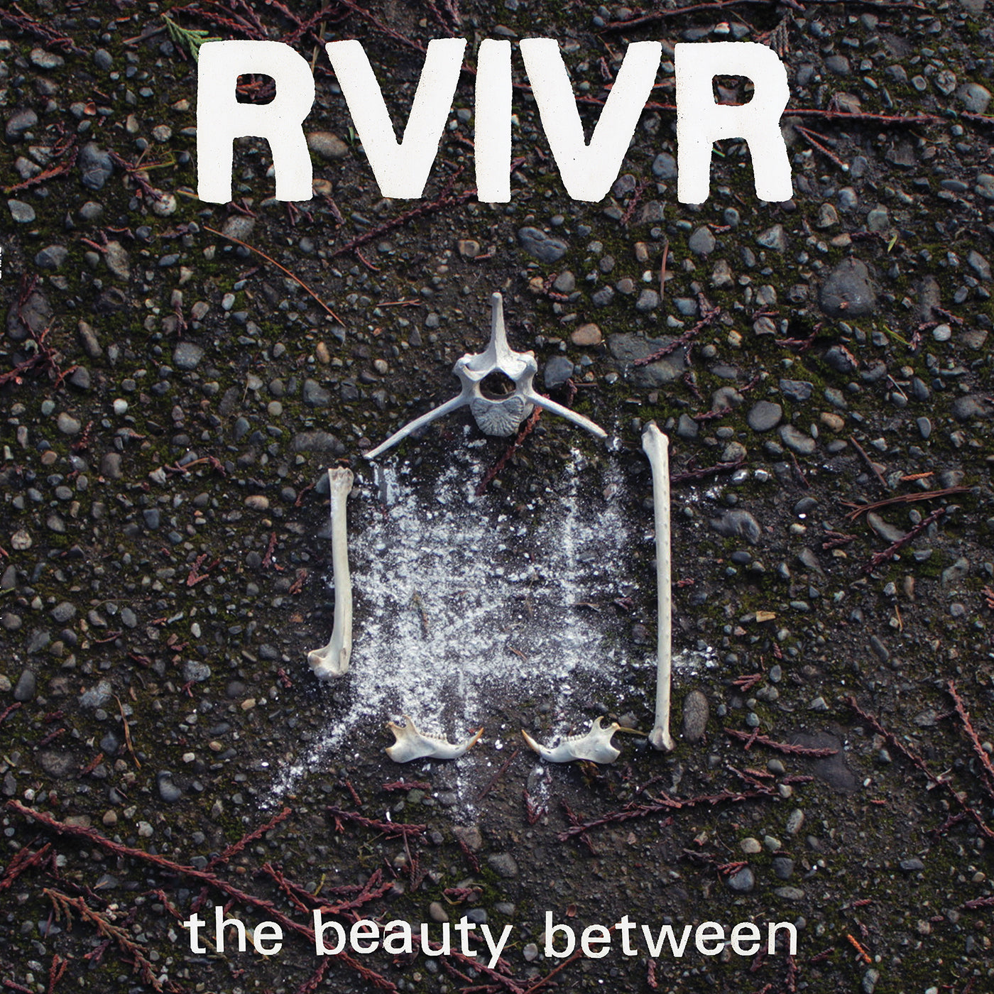 Rvivr - The Beauty Between (Black/Clear Vinyl)  (Vinyl LP) PRE-ORDER