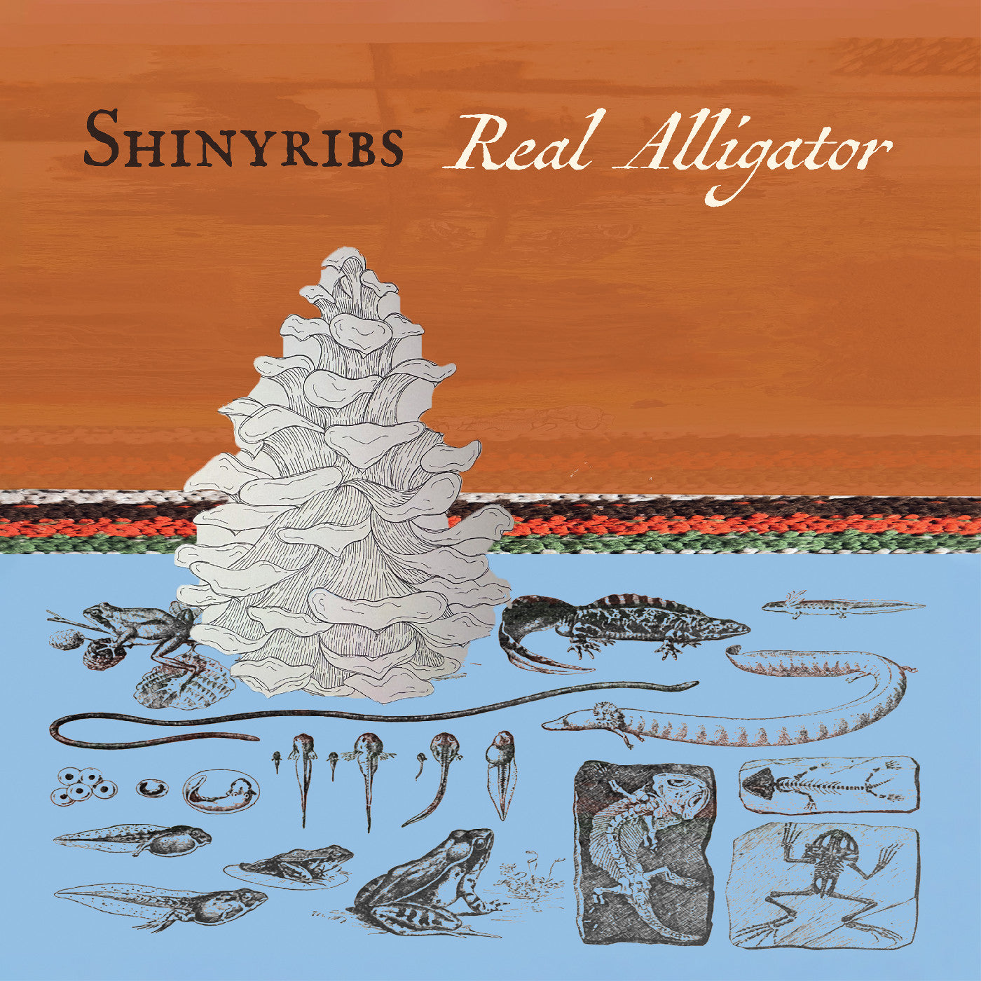 Shinyribs - Real Alligator  (Vinyl LP) PRE-ORDER