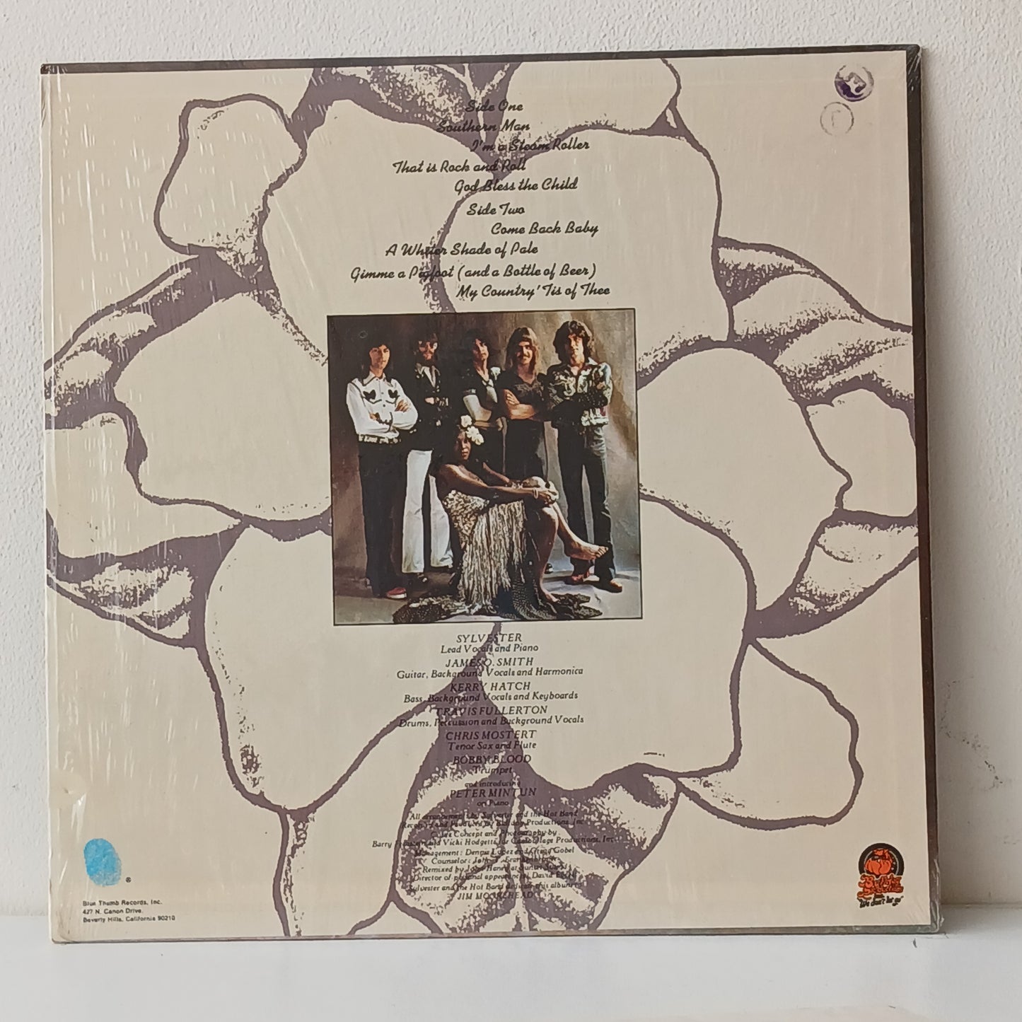 Sylvester And The Hot Band – Sylvester And The Hot Band (Used LP)