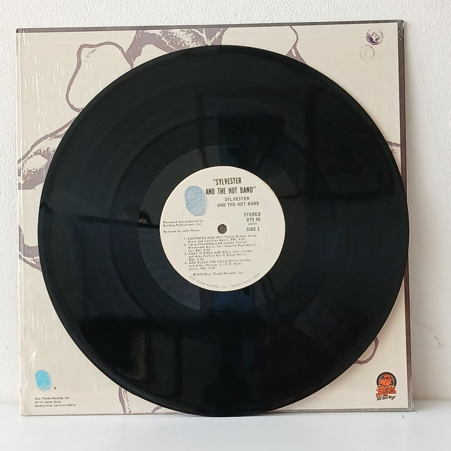 Sylvester And The Hot Band – Sylvester And The Hot Band (Used LP)